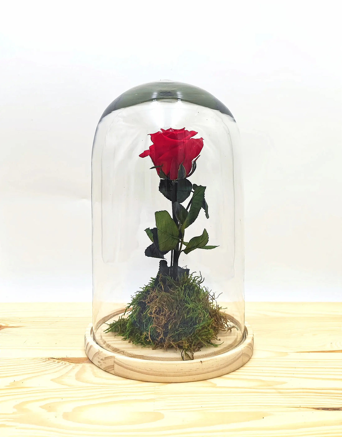 🌹Todo lo que Necesitas Saber sobre las Rosas Liofilizadas🌹