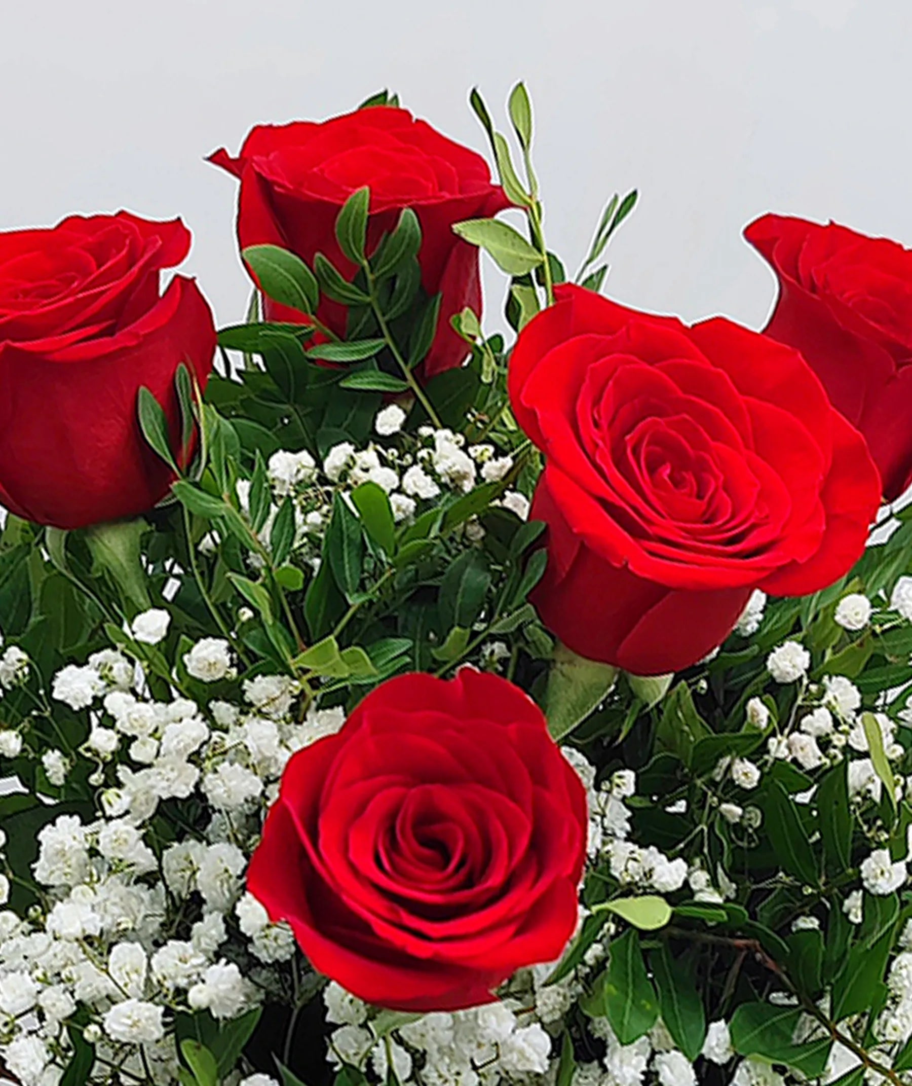 Ramo de 6 Rosas rojas para enviar en Madrid