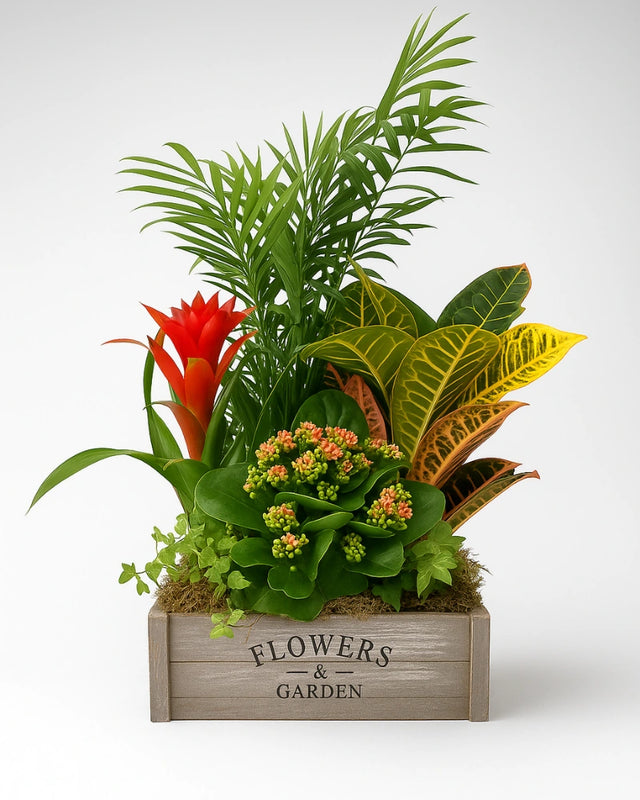 Caja de plantas mediana