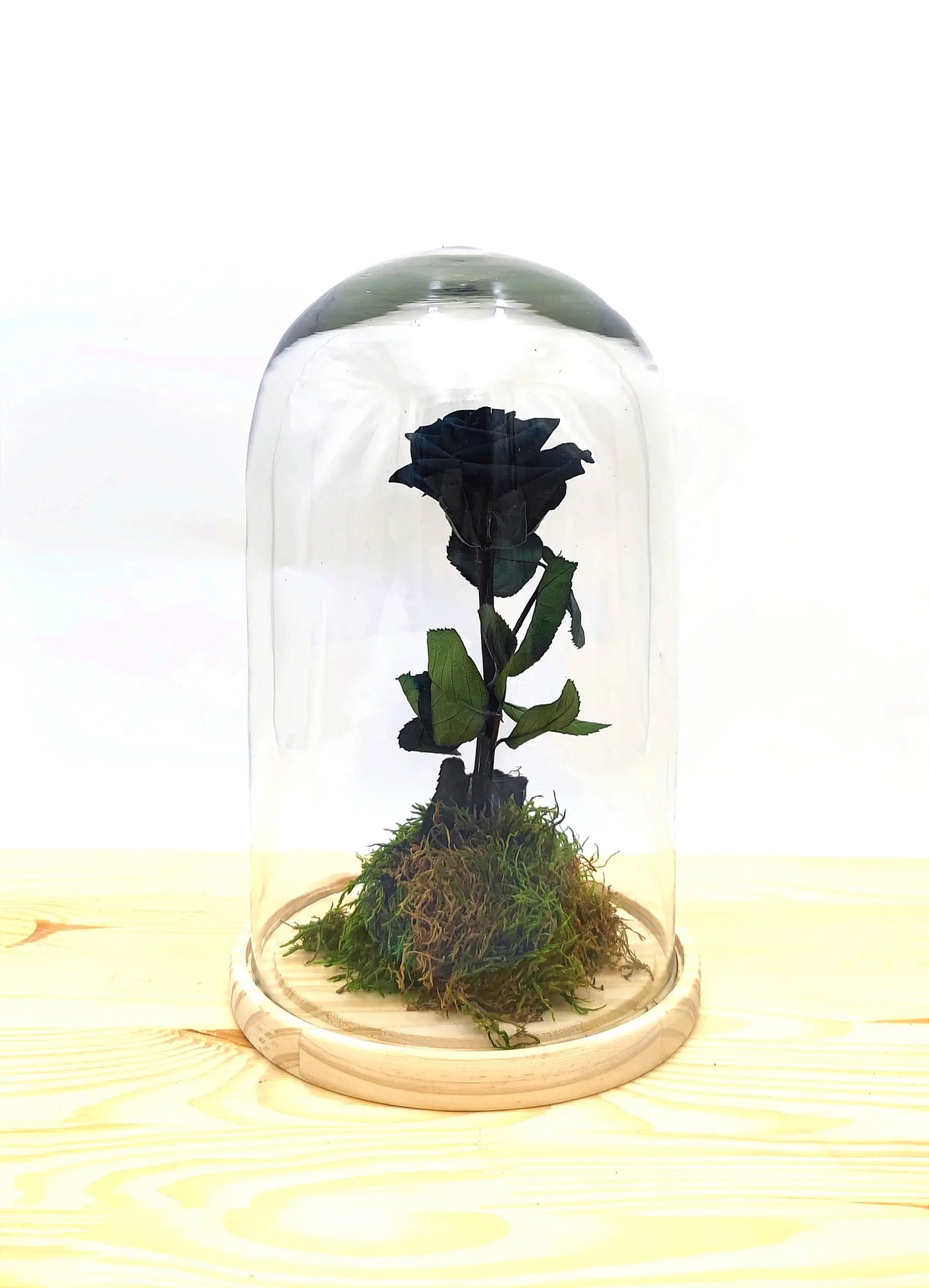 Rosa eterna negra en urna de cristal - Detalle elegante y misterioso preservado para regalo en Madrid