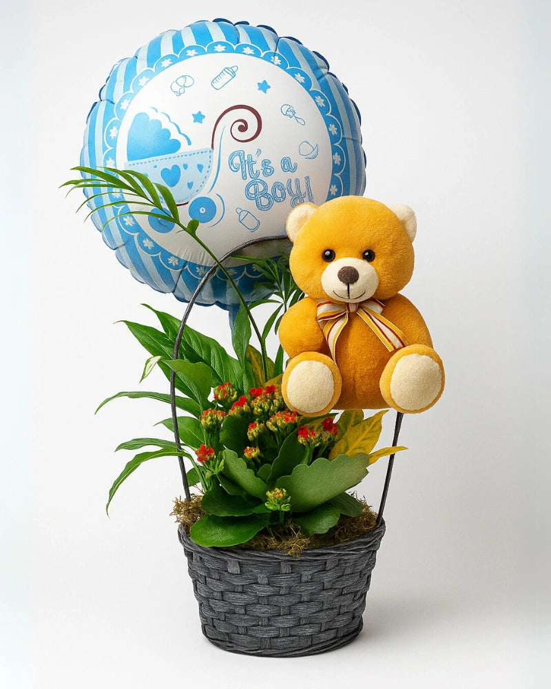 Cesta de plantas con globo y peluche para nacimiento azul