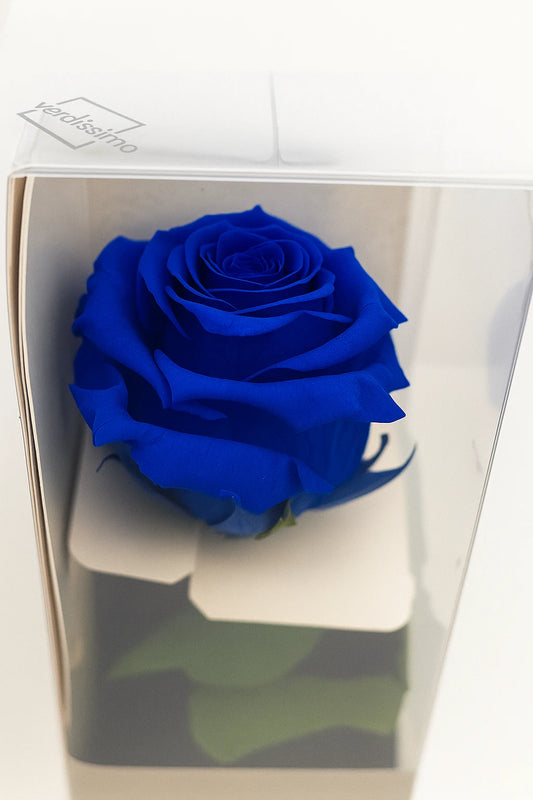 ROSA ETERNA AZUL | 50 CM