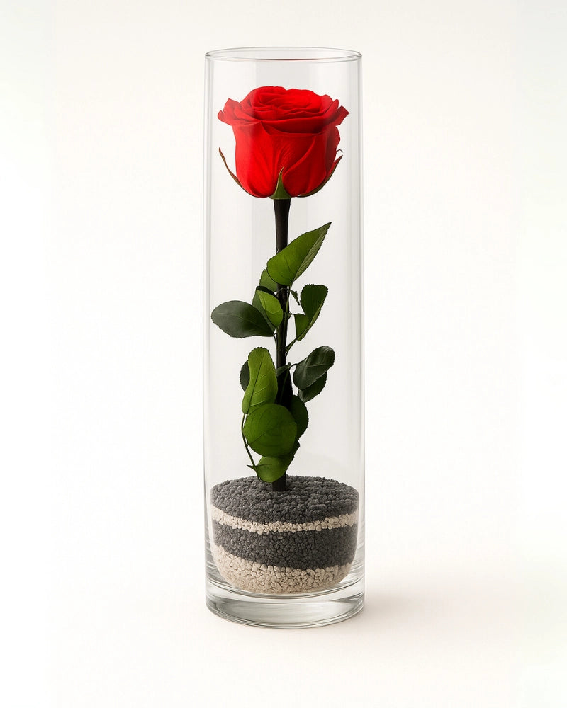rosa-eterna-tubo-cristal-grande-grandelia-flores-la-paz.