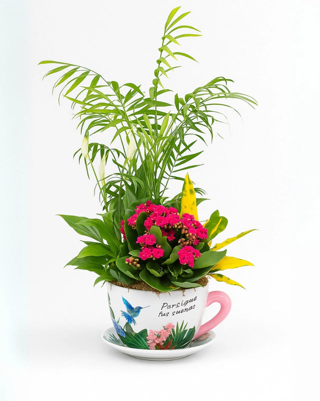Taza de Plantas