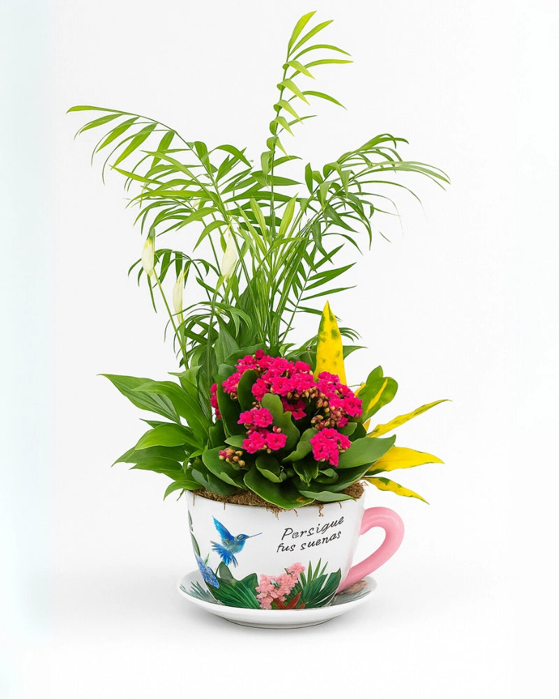 Taza de Plantas