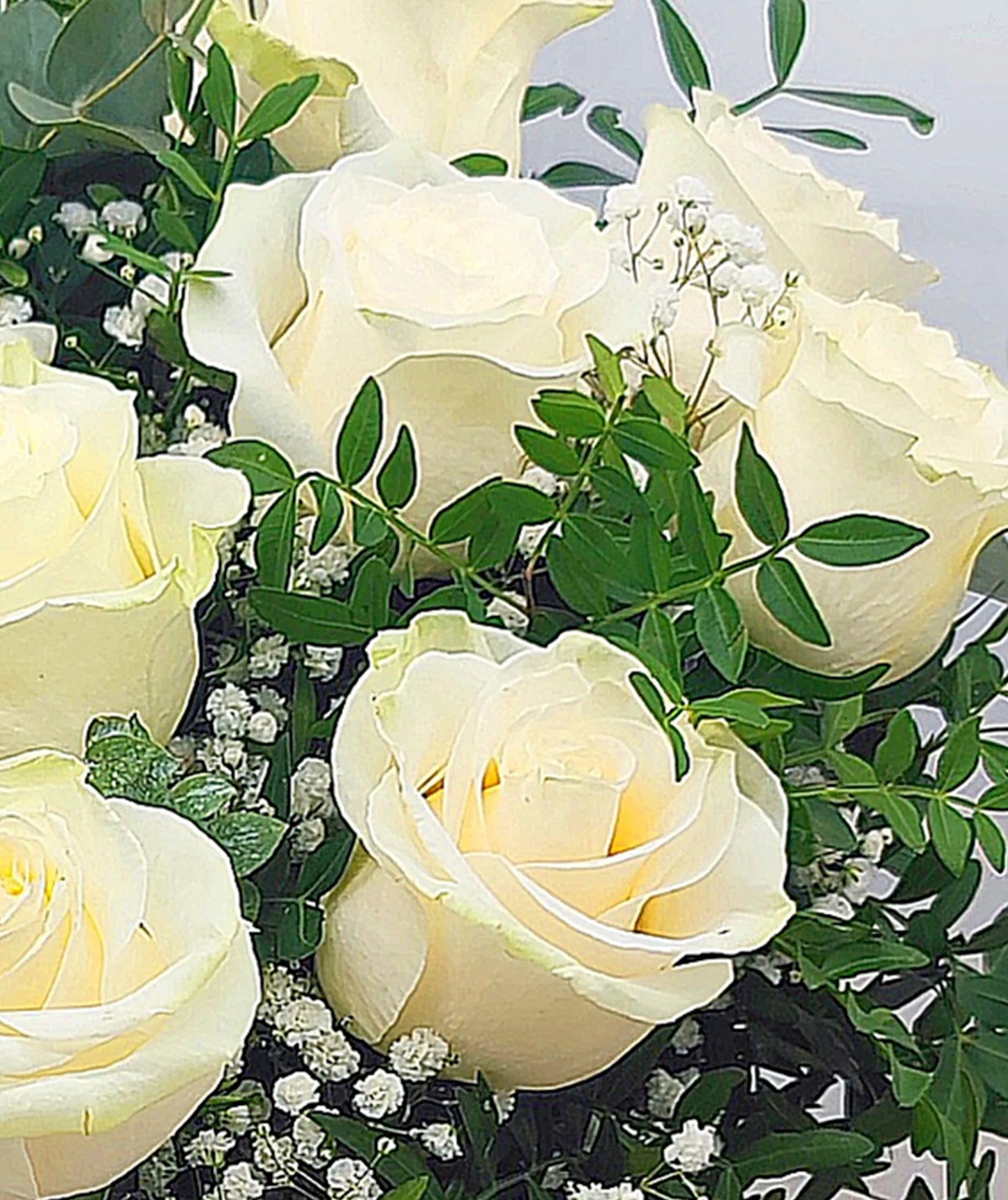 Ramo de Rosas Blancas
