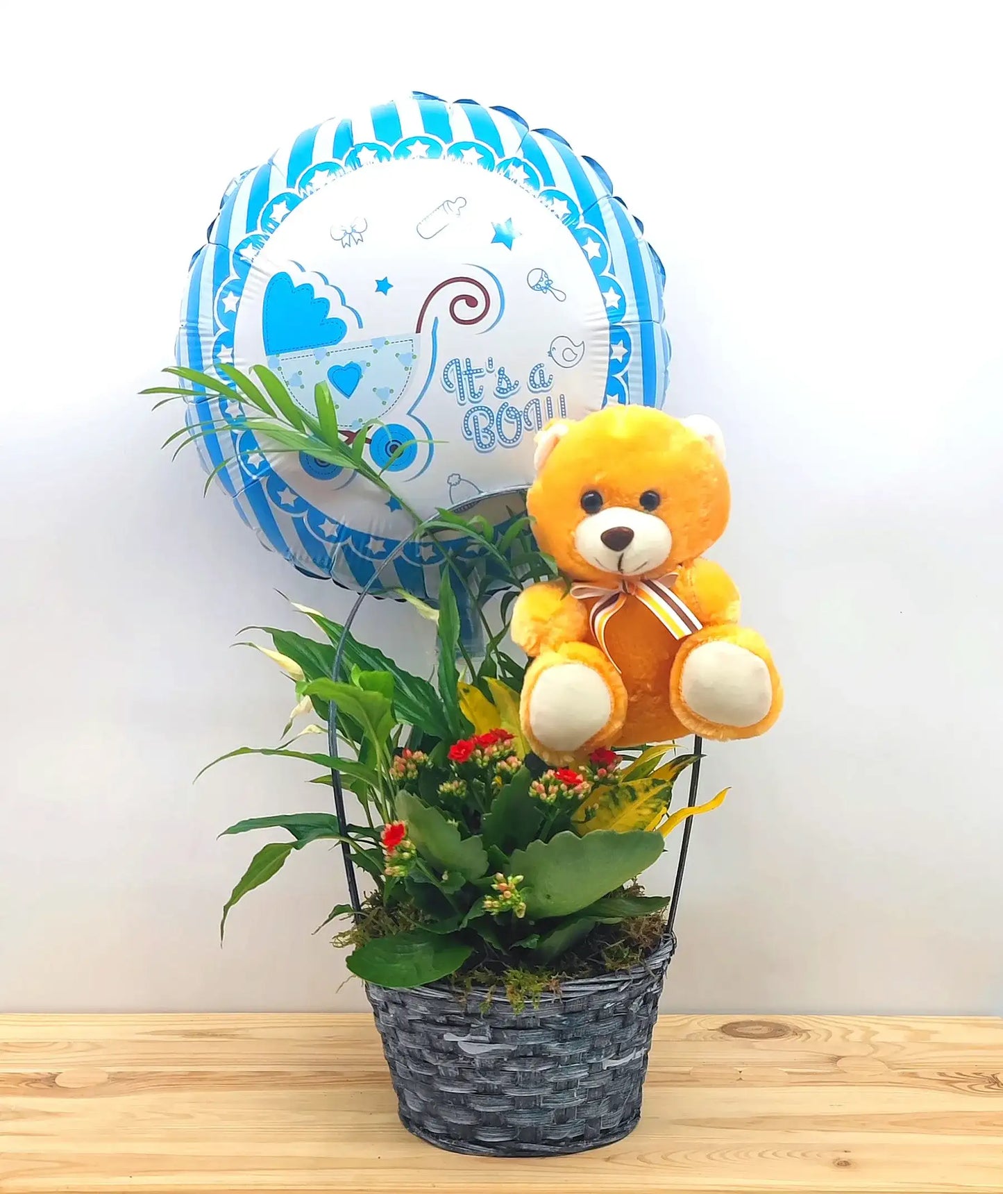Cesta de plantas con globo y peluche para nacimiento azul
