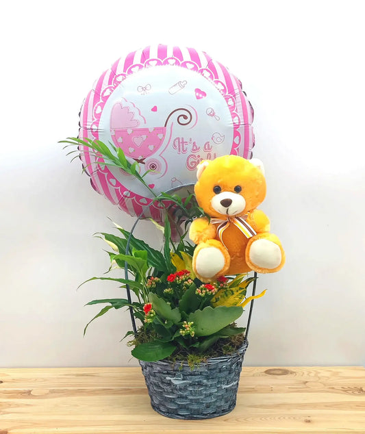 Cesta de plantas con globo y peluche para nacimiento rosa