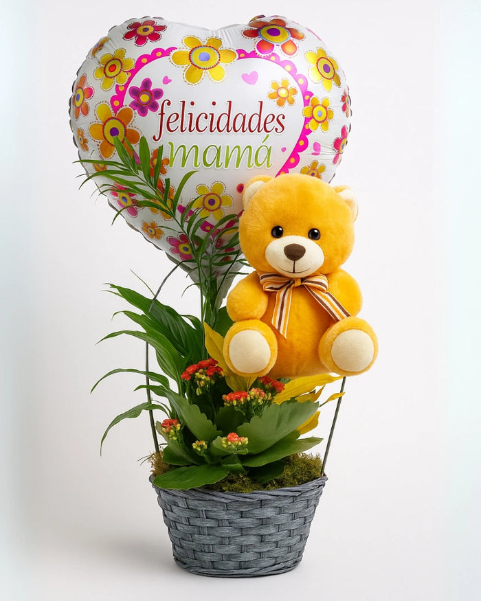 Cesta de Plantas "Felicidades Mamá"
