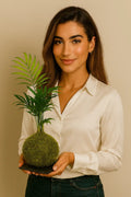 Kokedamas