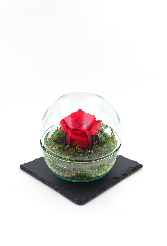 Rose Bubble