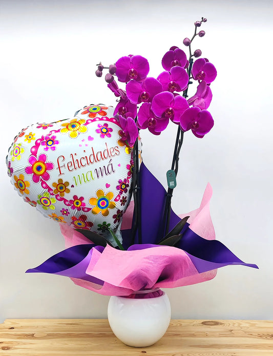 Orquídea con globo de felicidades mamá y maceta de cerámica blanca