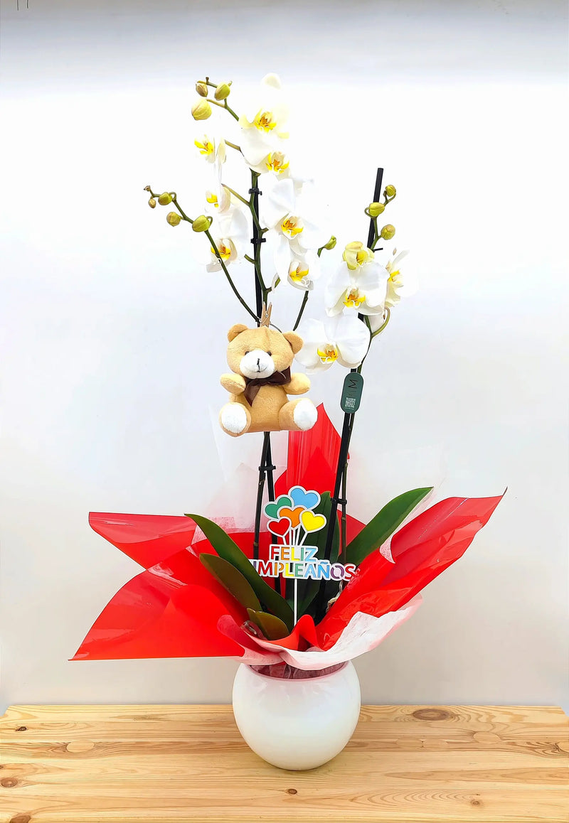 Orquídea feliz cumpleaños con peluche y pick de "feliz cumpleaños"