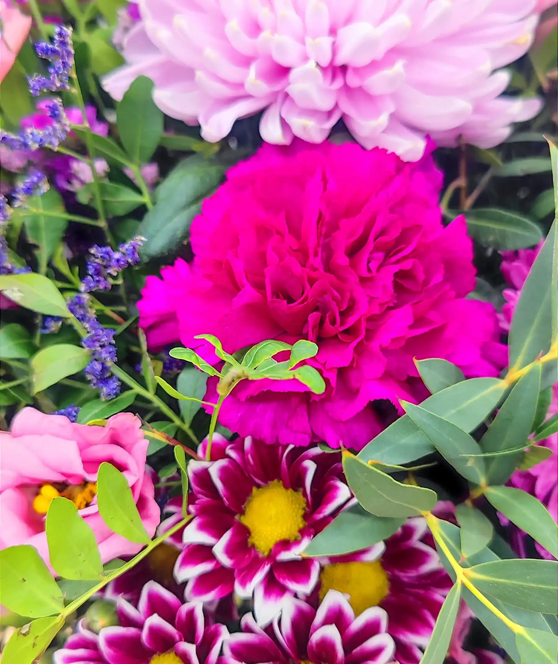Detalle del ramo de flores moradas y rosas con mezcla de flores frescas de temporada