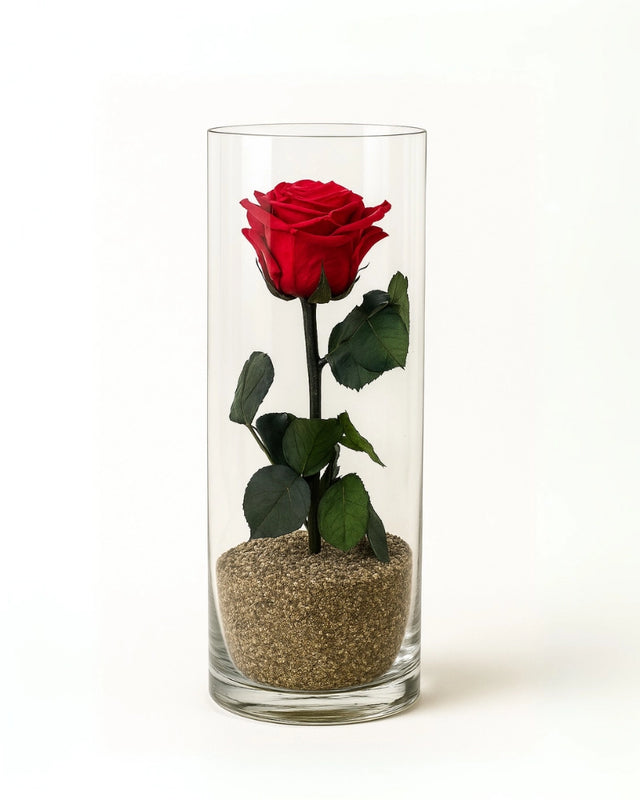 rosa eterna en tubo de cristal en madrid