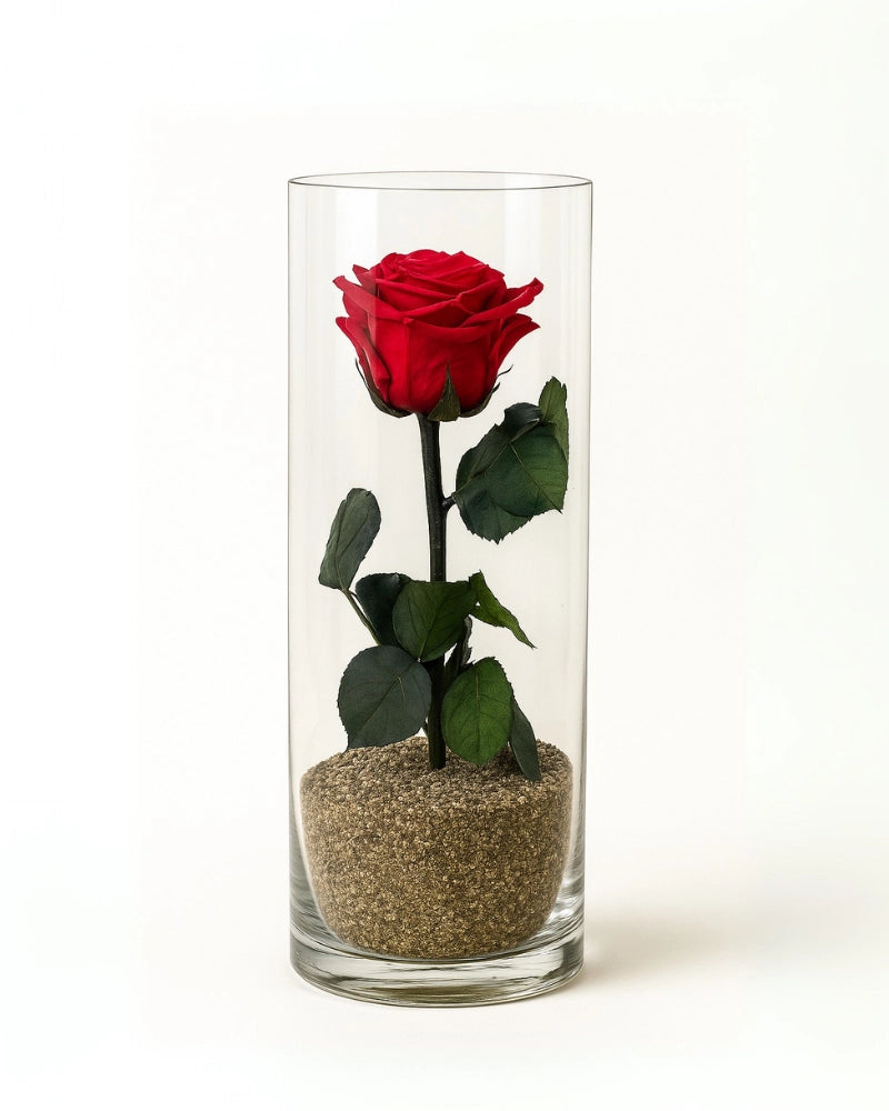rosa eterna en tubo de cristal en madrid