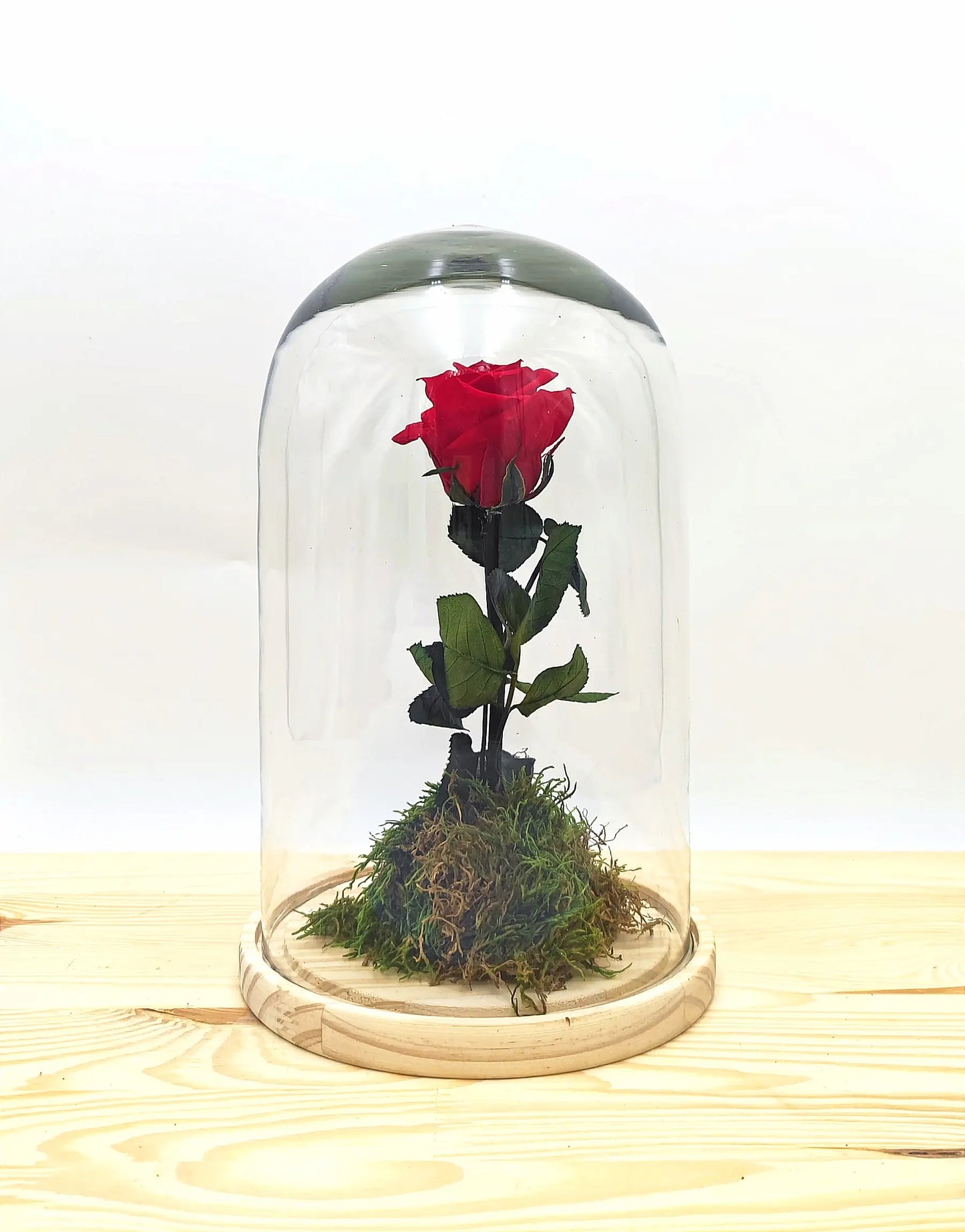 Rosa roja eterna en cúpula de cristal de 27 cm de altura