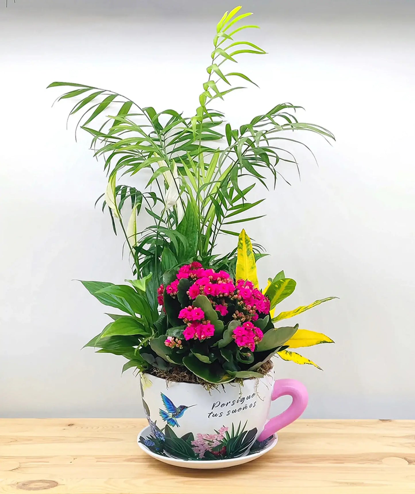 Taza de plantas mediana