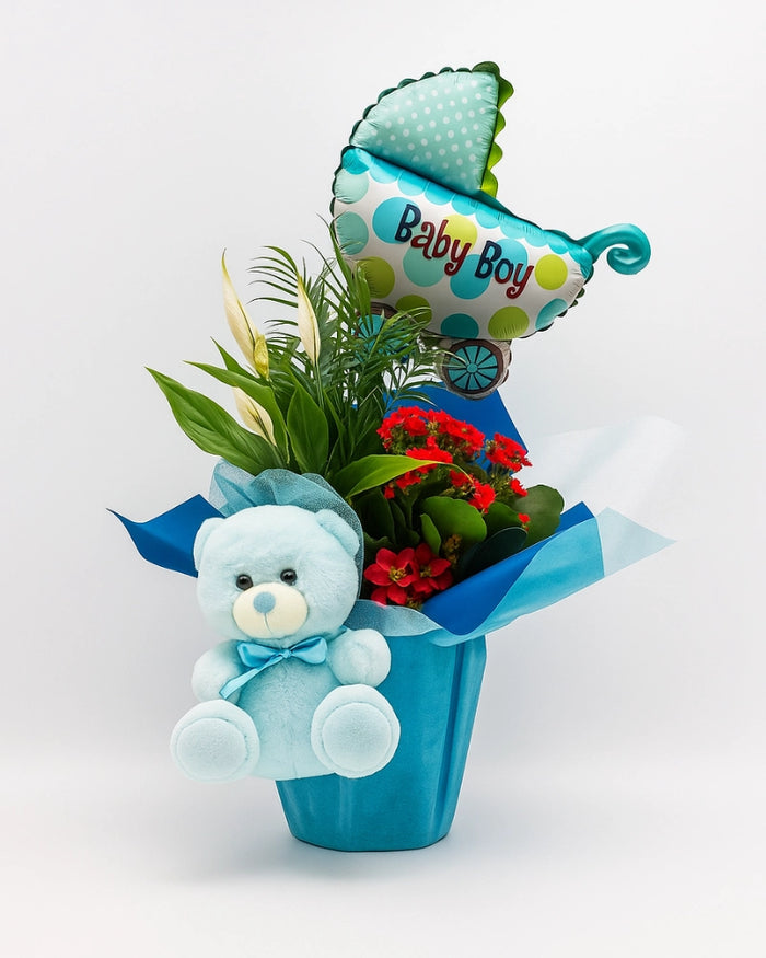 XPlant Nacimiento