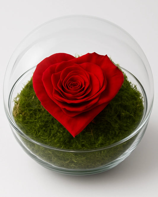 AMARHEART: Rosa eterna roja en forma de corazón sobre musgo preservado en esfera de cristal. Diseño exclusivo de Flores La Paz.