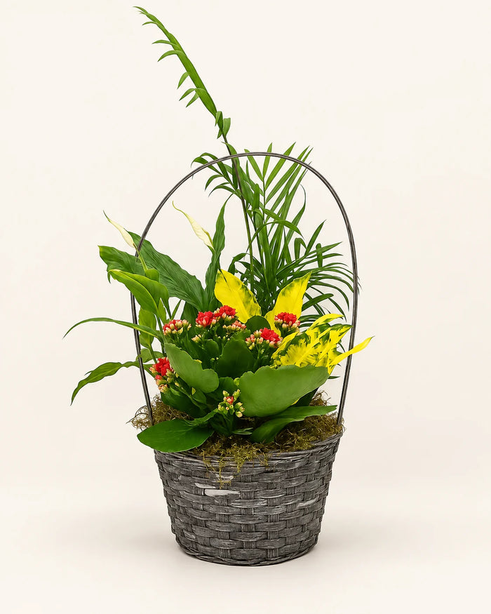 Cesta de plantas pequeña