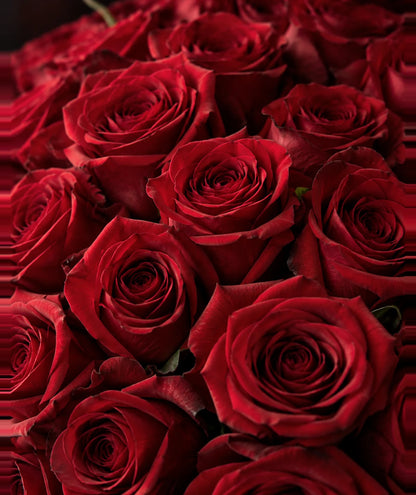 Detalle de las rosas rojas abiertas del ramo grande de Flores La Paz