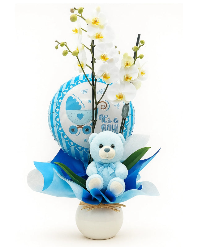 Orquídea blanca con globo azul y peluche para regalo de nacimiento niño