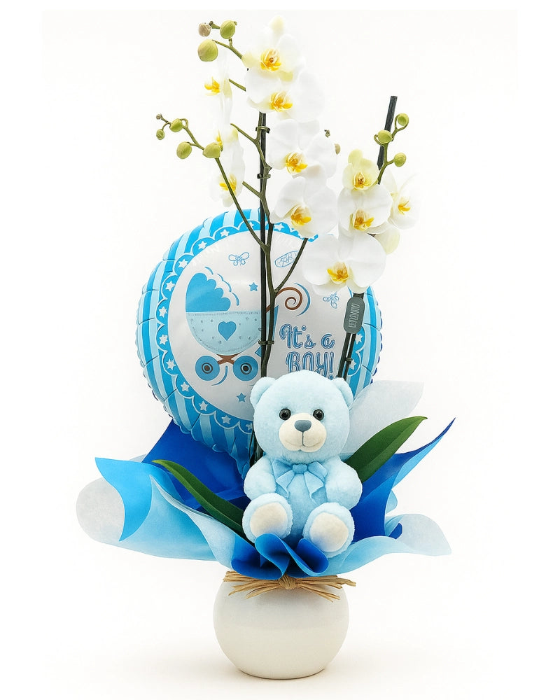 Orquídea blanca con globo azul y peluche para regalo de nacimiento niño