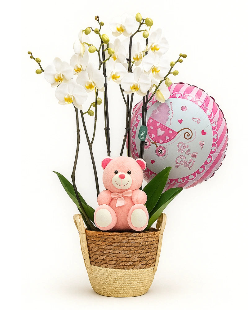 Cesta con orquídeas blancas, peluche rosa y globo "It's a girl" de Flores La Paz