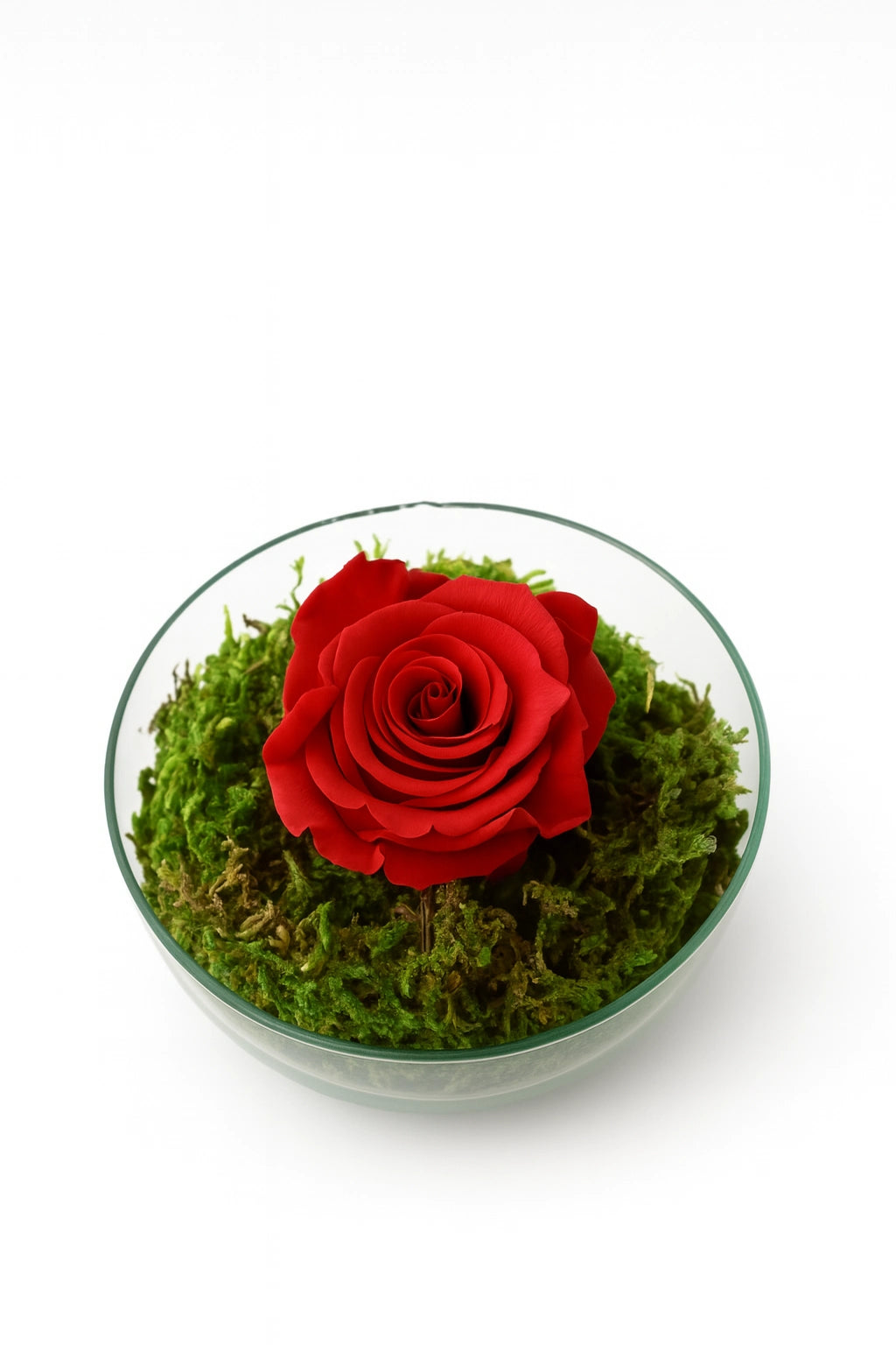 ROSE BUBBLE | ESFERA DE CRISTAL CON ROSA ETERNA