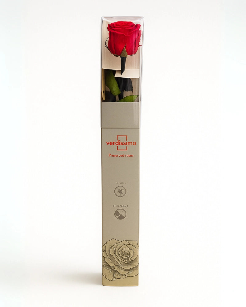 Rosa liofilizada roja de tallo largo en caja rígida, regalo eterno en Madrid