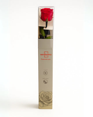 ROSA ETERNA ROJA | 50 cm