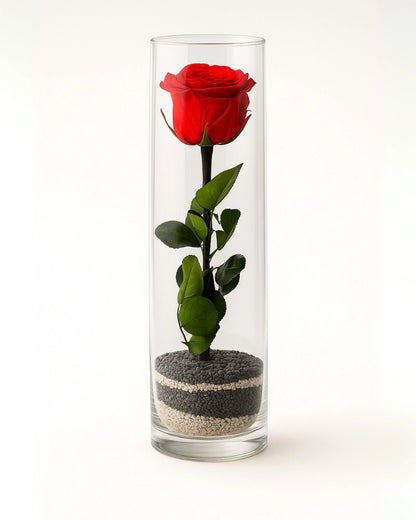 rosa-eterna-tubo-cristal-grande-grandelia-flores-la-paz.