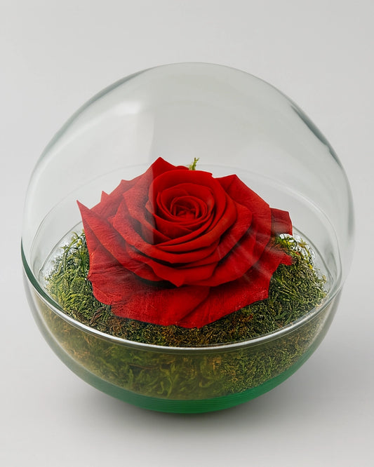 ROSÉLITH: rosa eterna roja de forma clásica sobre musgo liofilizado, en esfera de cristal de 15 cm. Diseño exclusivo de Flores La Paz.